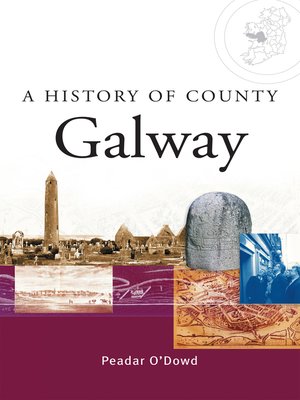 cover image of A History of County Galway